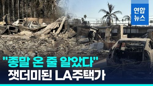 [영상] "종말이 온 것처럼 보였다"…잿더미 남은 LA 주택가 - 2