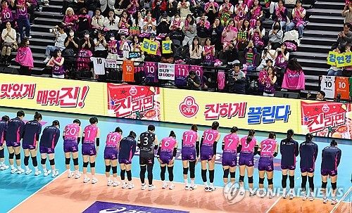 흥국생명, 아쉬운 연승 마감