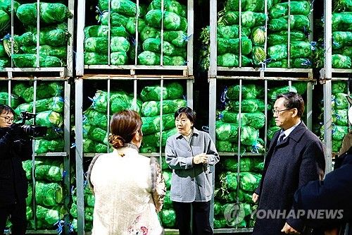 송미령 장관, 겨울 배추 공급 및 저장 동향 점검