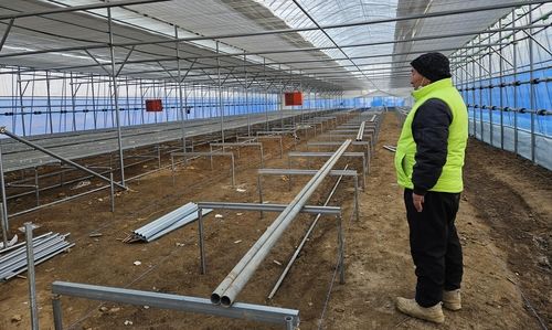 비닐하우스 재시공 지켜보는 안개종묘 임육택 대표