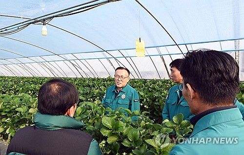 행안부, 겨울철 폭설대비 취약시설 현장 점검