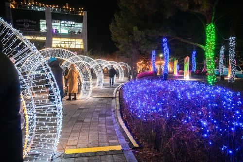 세종 빛축제 현장