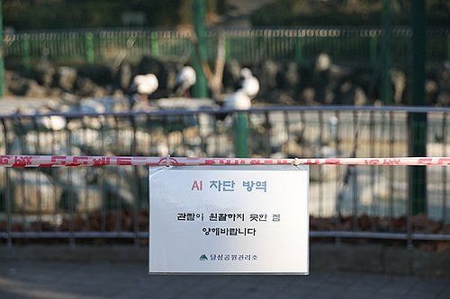 'AI 차단…접근 제한'