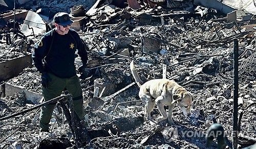 LA 산불 지역에서 잔해를 수색 중인 탐지견 
