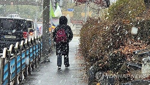 눈발 날리는 대전