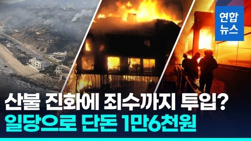 [영상] '억만장자 해변' 600억 집도 잿더미…산불진화에 죄수까지 투입 - 2