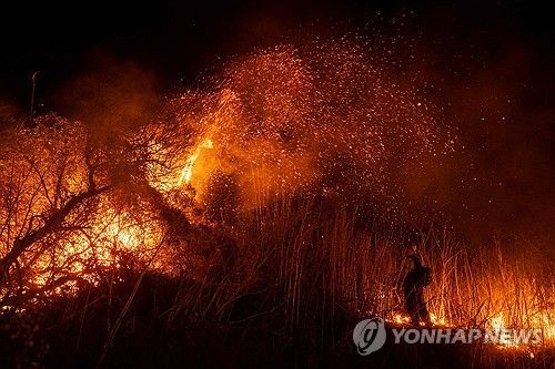 LA 북서쪽 옥스나드 산불 지역에서 강풍에 날리는 불씨들