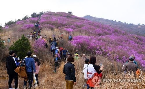 영취산 진달래축제 현장