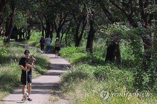 청계천 찾은 귀여운 새 손님