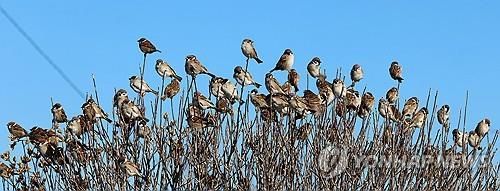 햇볕에 모여 옹기종기