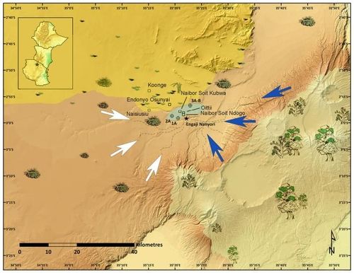재구성한 엔가지 난요리 지역과 인근의 고대 식물 환경