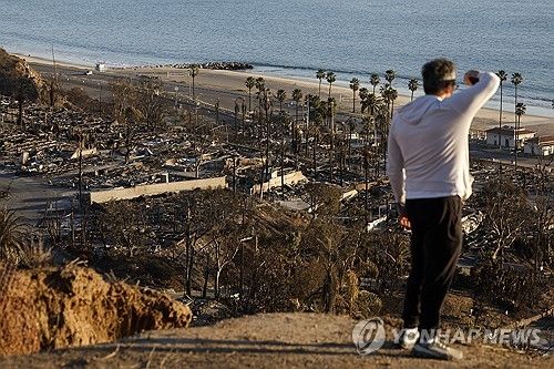 15일(현지시간) LA 퍼시픽 팰리세이즈 언덕에서 산불 피해지역을 내려다보는 주민