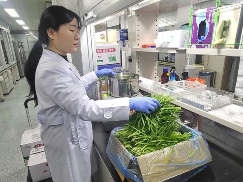 농산물 잔류농약 검사