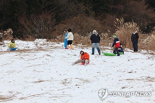 한라산에서 타는 썰매