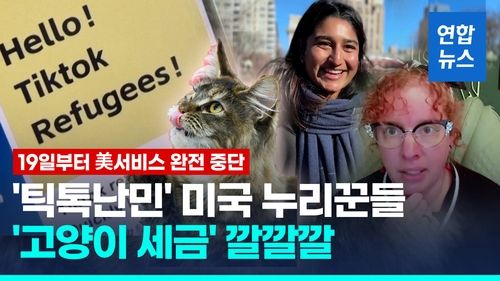 [영상] '틱톡난민' 유입에 中누리꾼 유머로 환영…'고양이 세금' 요구 - 2