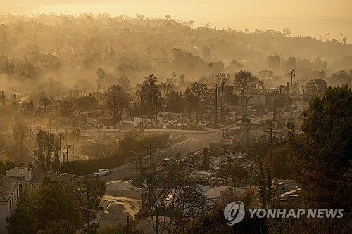 LA 팰리세이즈 산불로 타버린 주택가