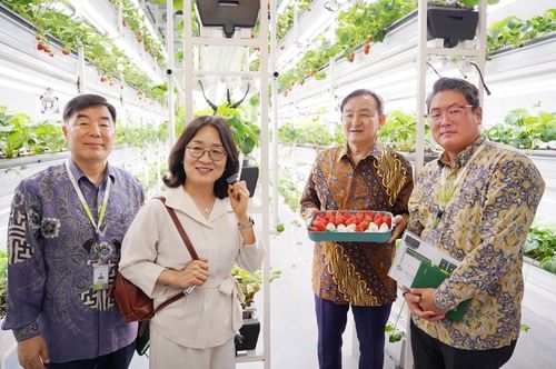 담양 딸기 수출 성과