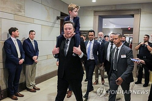 정부효율부 수장으로 임명된 일론 머스크 테슬라 최고경영자(CEO)