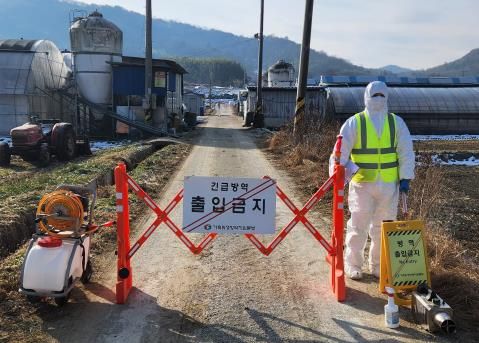 출입통제된 오리농장