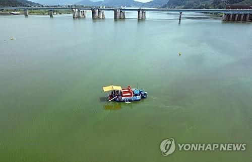 지난해 8월 낙동강 창녕함안보 인근 녹조