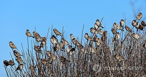 추울 때는 햇볕이 최고