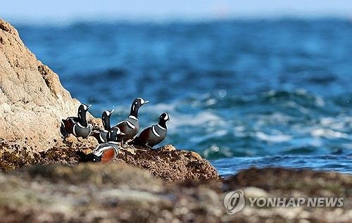 따뜻한 햇볕이 좋아