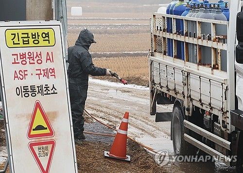 조류인플루엔자 확산을 막아라