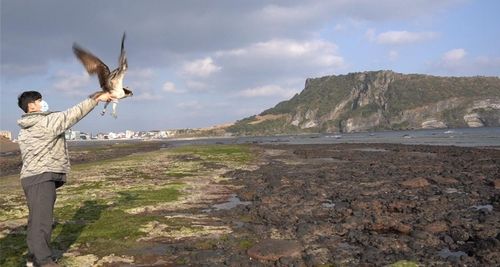 자연으로 돌아가는 물수리