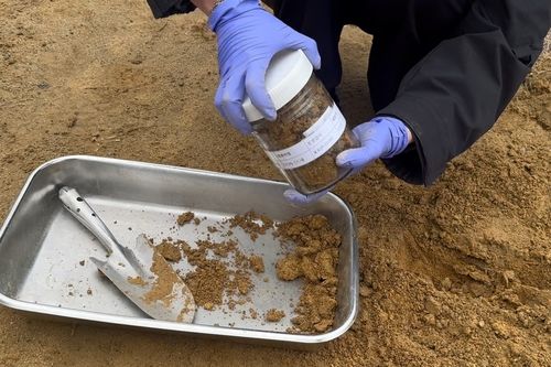 토양오염물질 조사