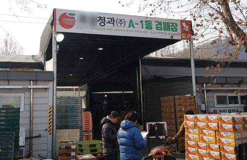 청과물동 임시 경매장 입구