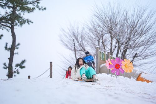 강원특별자치도교육청, 농어촌유학 프로그램