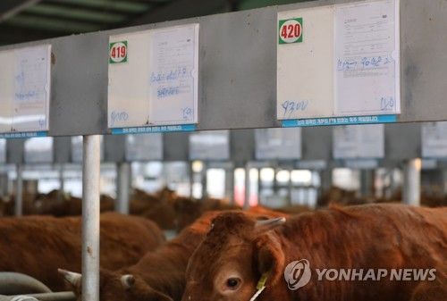 [연합뉴스 자료사진]