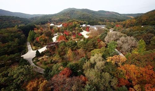 국립수목원과 광릉숲 전경