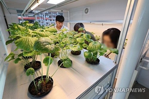 농업박람회에서 스마트팜 살피는 관람객