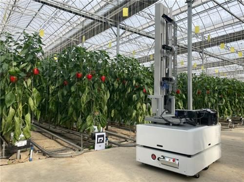 자율주행 로봇 재배 스마트팜