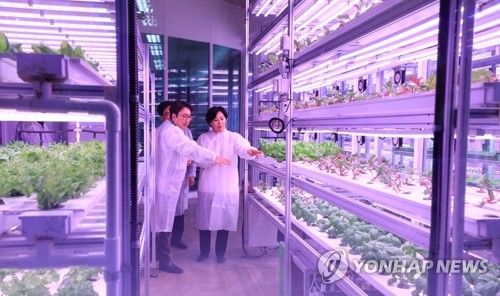 메트로팜 방문한 송미령 장관