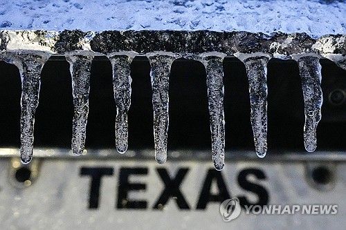 21일(현지시간) 텍사스 갤버스턴에 덮친 겨울 폭풍으로 고드름이 언 모습