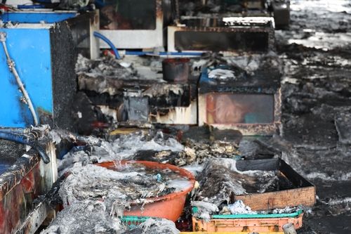 새까맣게 변한 석화