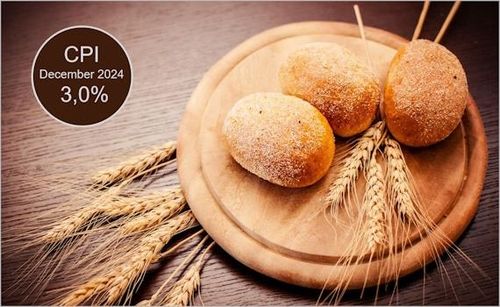 남아공 2024년 12월 소비자물가상승률 3.0%