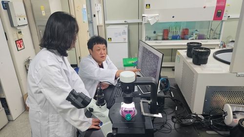 원자력硏, 미생물 이용해 장기 손상 막는 방법 확인 