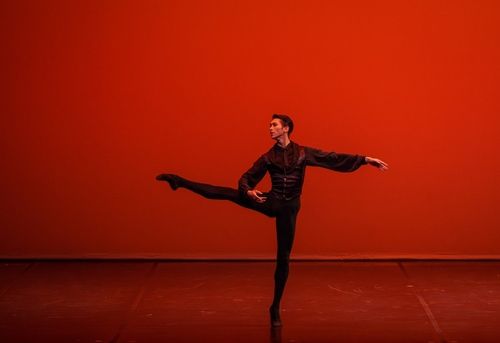 발레리노 전민철 공연