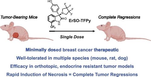 "한번 투여로 유방암 종양 제거…생쥐서 신약물질 효과 확인"