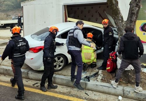 음식점으로 돌진한 차량