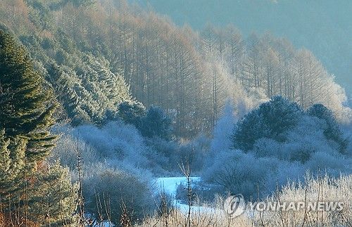 추위가 만든 '비밀의 정원'