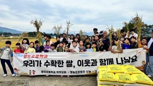 광의초 학생들의 가을 벼베기 체험