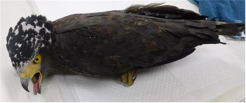 입원 당시 관수리