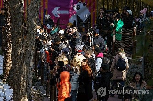 판다 보기 위해 몰려든 팬들