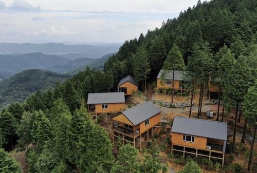 하동편백자연휴양림