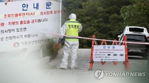고병원성 AI·ASF 등 가축질병 확산…명절 방역 총력 (CG)