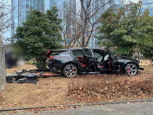 음주운전으로 공원으로 돌진한 승용차